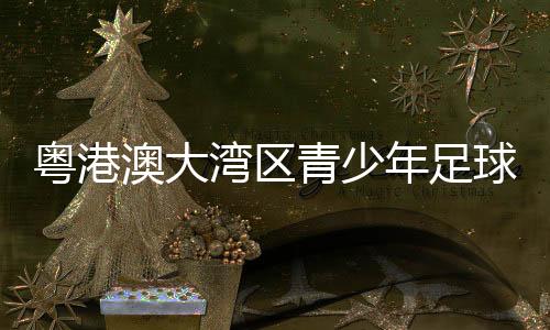 粤港澳大湾区青少年足球联赛在广州开幕