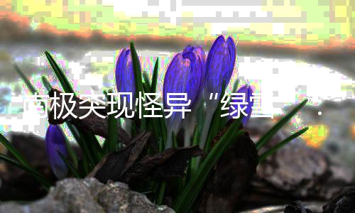 南极突现怪异“绿雪”：世界气候变暖所致