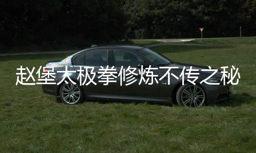 赵堡太极拳修炼不传之秘——河车运转七星续命